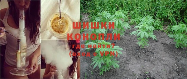 стаф Баксан