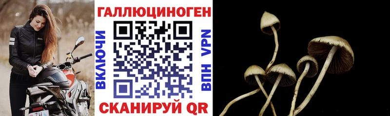 Галлюциногенные грибы Magic Shrooms  где продают   Михайловск 